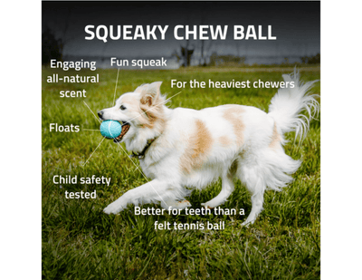 Squeaky Chew Ball - Playology Small - PetToba-Playology
