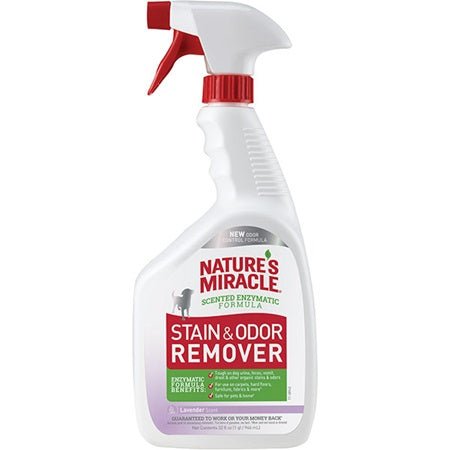 Stain and Odor Remover - Lavender Scent - Nature's Miracle - PetToba-Nature's Miracle