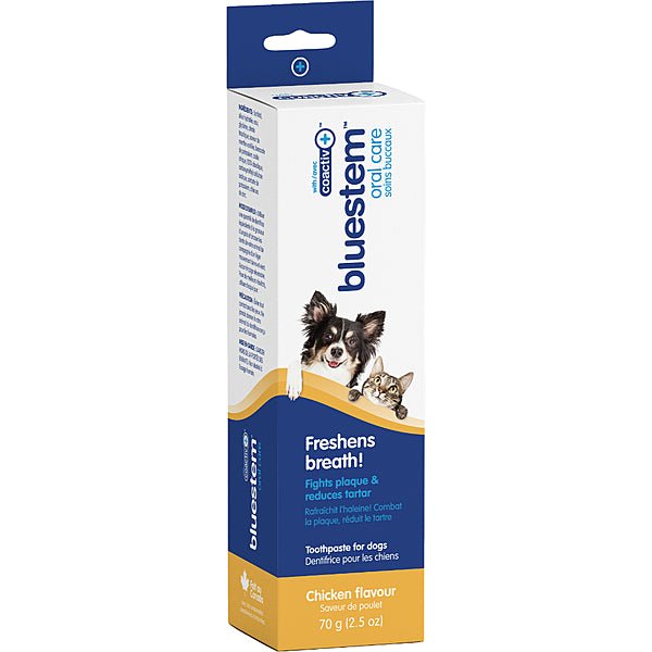 Toothpaste Chicken for Dog & Cat - bluestem