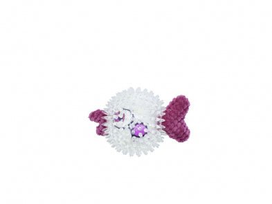 Toy In A Toy For Dog Purple Fish - Dog Toy - Bud'z