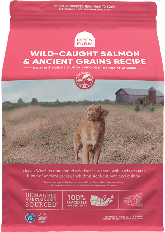 Wild-Caught Salmon & Ancient Grains - Dry Dog Food - Open Farm