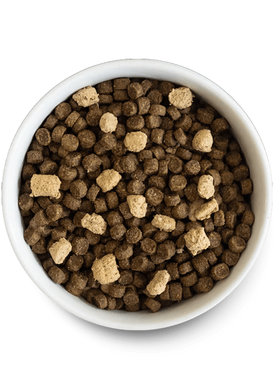 Wild Ocean Grain-Free RawMix - Dry Dog Food - Open Farm
