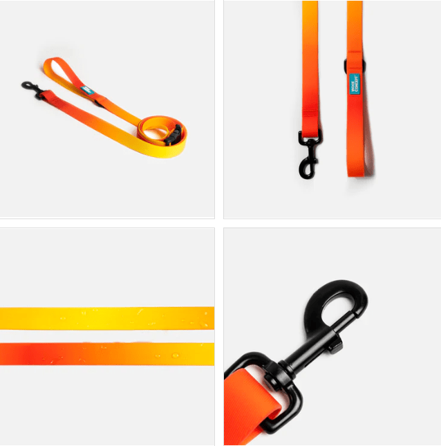 Woof Concept Leash Aqua Sunset - Woof Concept - PetToba-Woof Concept